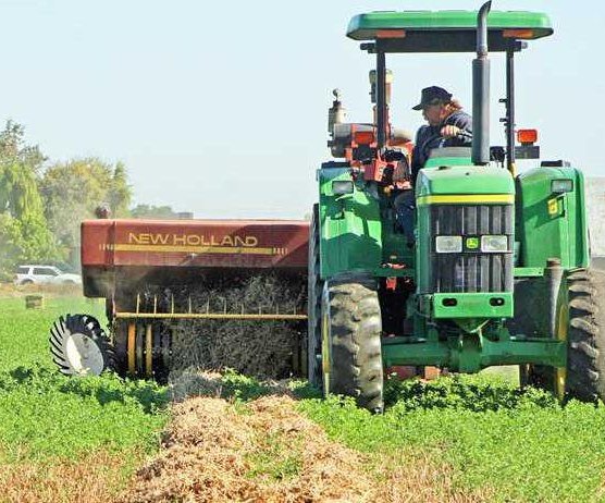 farm