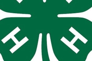 4-H logo