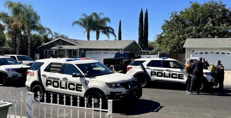 LPD market robbery