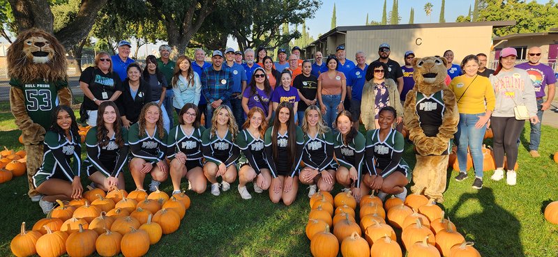 Pumpkins 4
