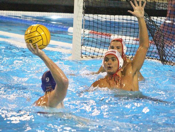 Ripon-Buchanan boys water polo