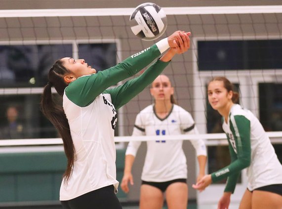 All-VOL girls volleyball