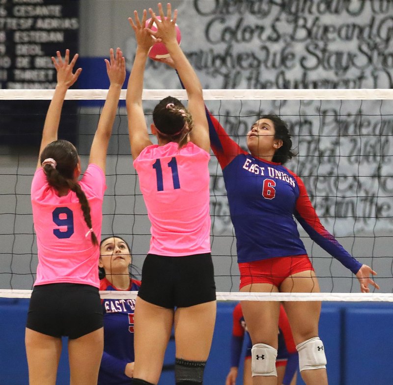 All-VOL girls volleyball