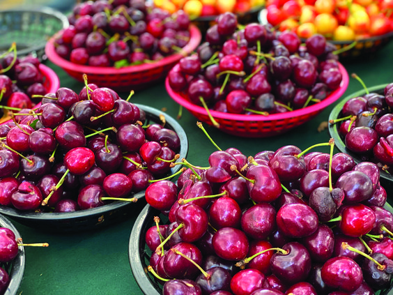 CHERRY BENEFITS