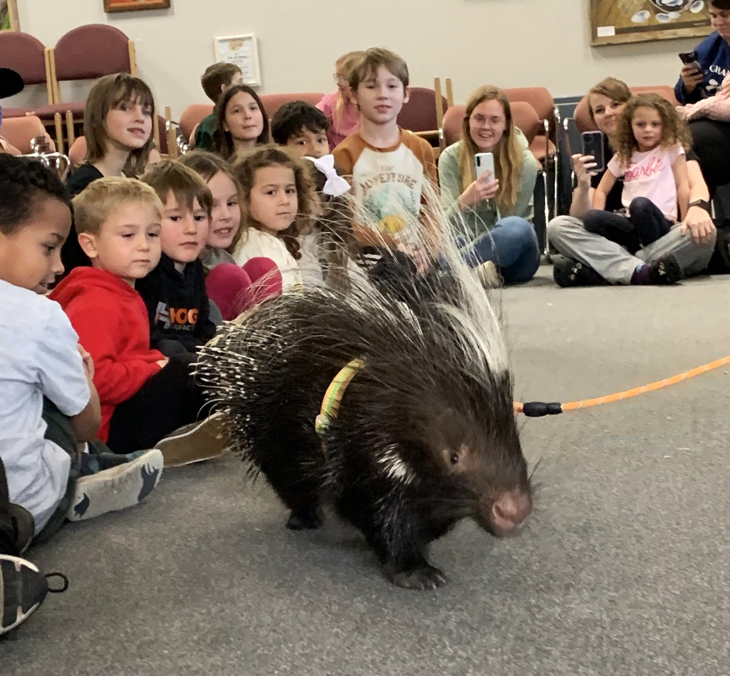 Collection of critters stop to visit Escalon Library Escalon Times