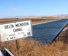 Delta Mendota canal