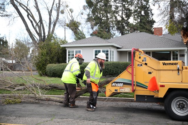 Storm leaves downed trees, power outages - Turlock Journal
