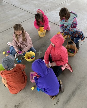 egg3