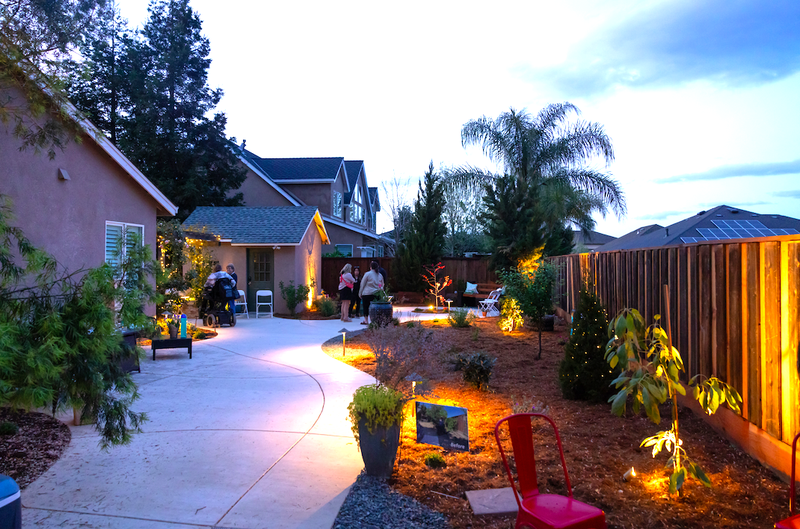 Bobcat backyard 3