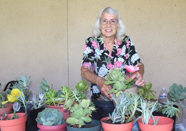 PLANT PERFECTION - Oakdale Leader - Vimarsana News