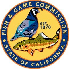 FG logo