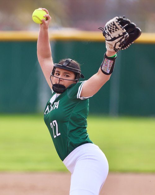 All-Area Softball
