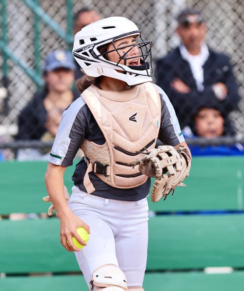 All-Area Softball