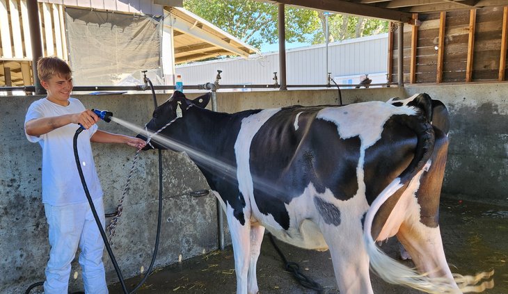 sc fair 2024 1
