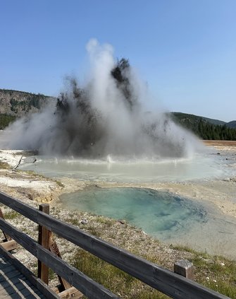Yellowstone 731