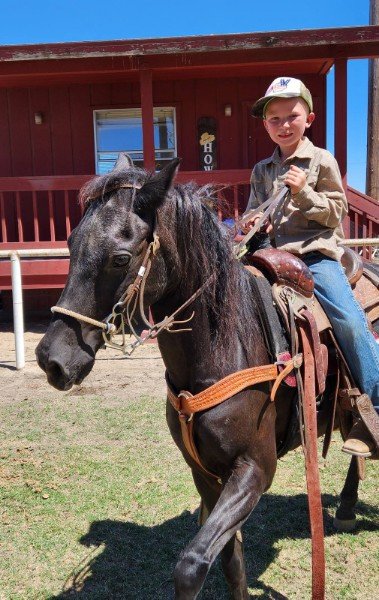 Turlock Horsemen's Club 2
