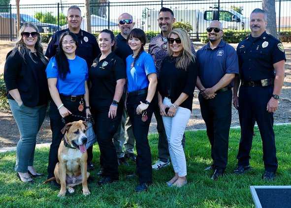 mpd dogs shelter