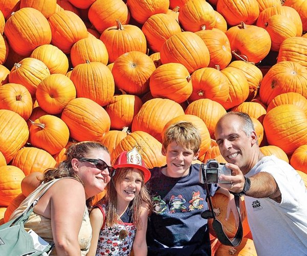 pumpkin hill