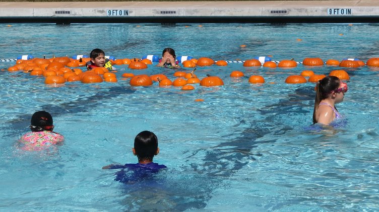 Pumpkin pool