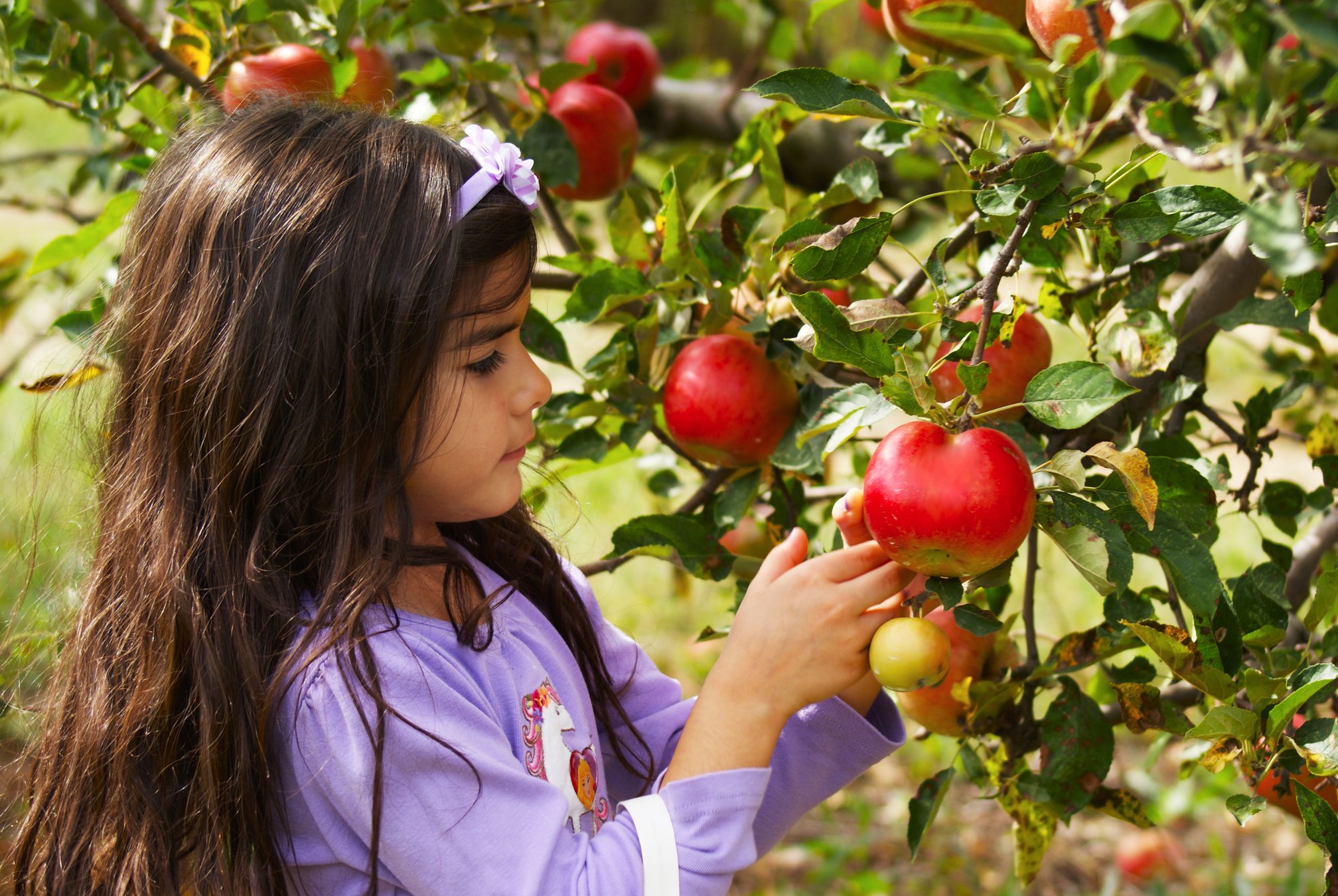 A dino dig, tips on growing backyard fruit trees and more coming to the