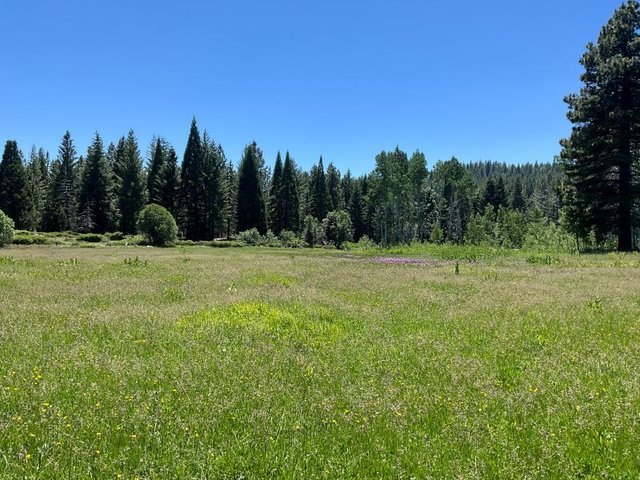 Statewide critical restoration projects net CDFW funding - Oakdale Leader