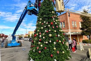 gustine christmas tree