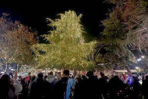 Festival of Lights 1