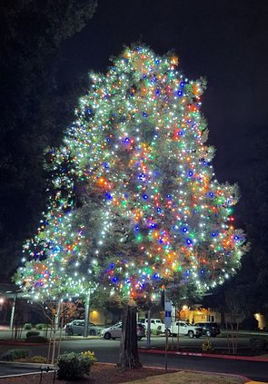 lathrop tree