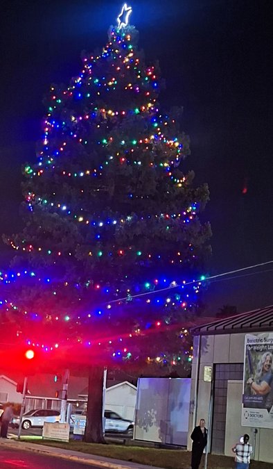 MANTECA TREE OF LIGHTS - Manteca Bulletin