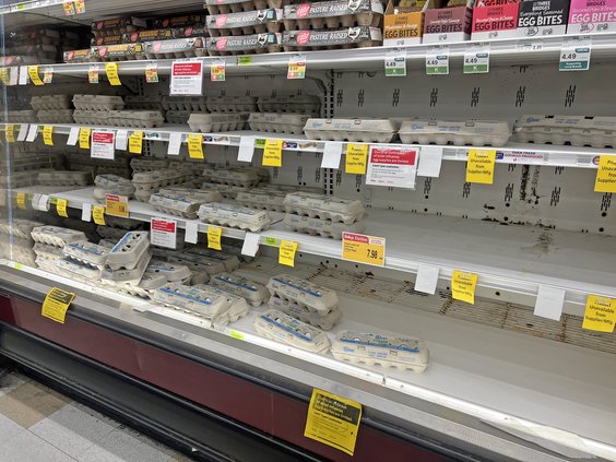 Shelves emptied of eggs