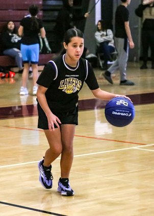 R dribbler