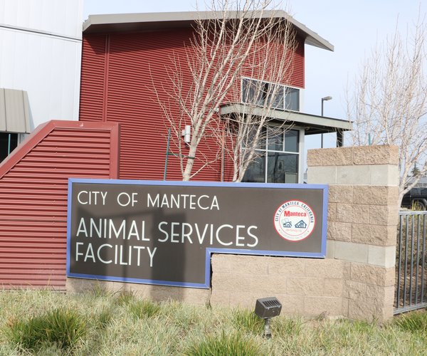 animal shelter