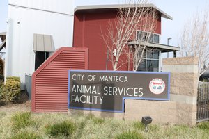 animal shelter
