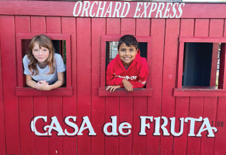 Casa-3.png