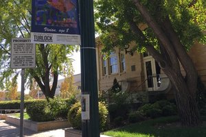 Carnegie banners