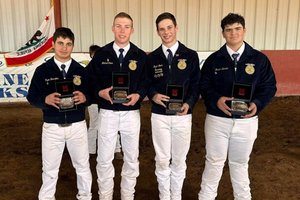 gustine ffa stock show
