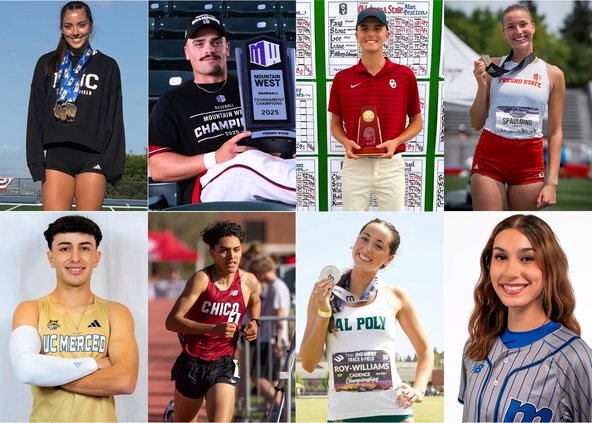 college roundup collage