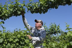 Bill Berryhill farmer