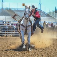 Silva rodeo 4-6