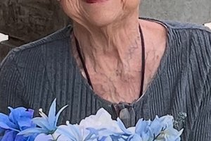c70867_1.jpg