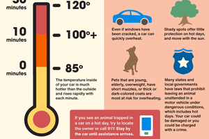 hot car graphic