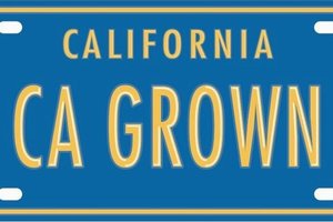 Ca grown