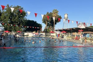 gustine aquatics