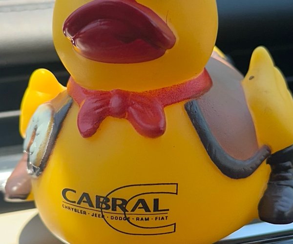 duck