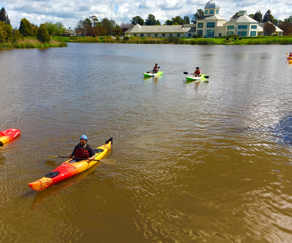 716 Kayak