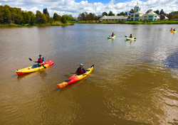 716 Kayak