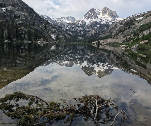barney lake