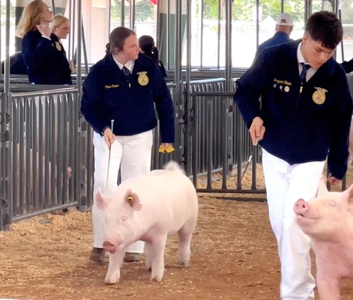 Hughson FFA member Chloe Cooper