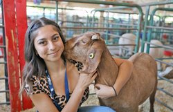 Ceres High School FFA member Gabriella Rodriguez