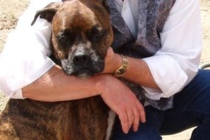 PAUL ALAN LEWIS obit